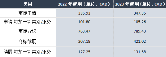 2022年已接近尾声啦~尼尼发现在即将开启的2023年里